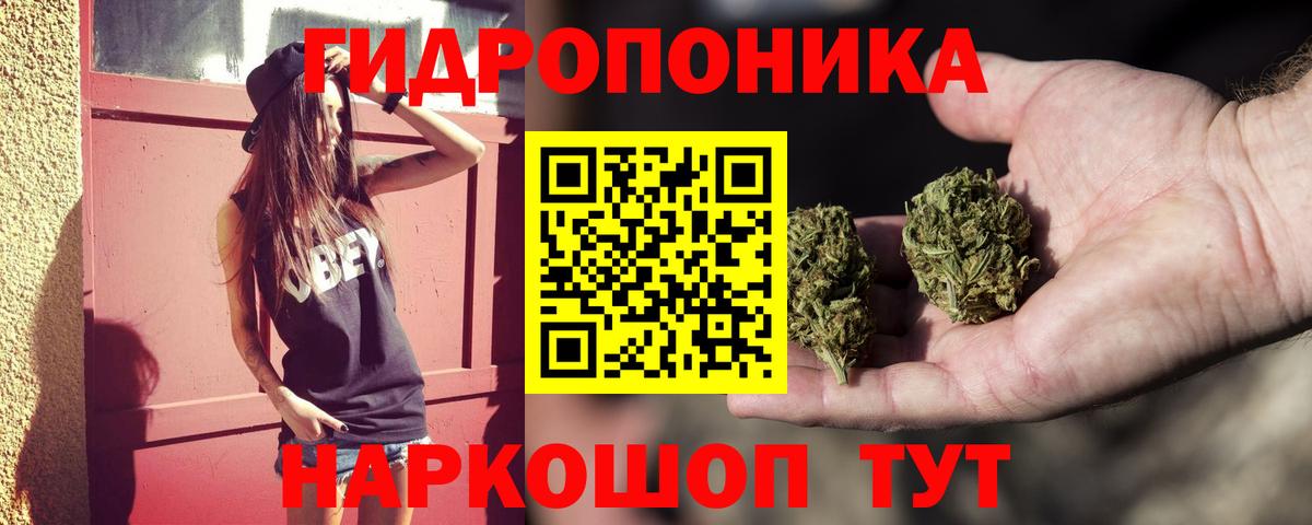 Зерноград  Конопля гибрид  Вход с VPN  Бошки Шишки план  Марихуана ГИДРОПОН 